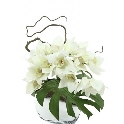 Орхидея Симбидиум в кашпо