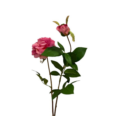 Роза розовая [Арт. CH748]