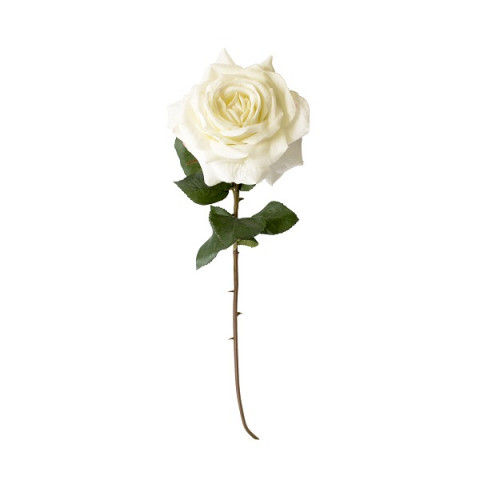 Роза белая [Арт. 97838010]