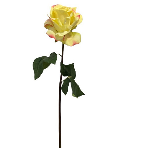 Роза Сара 57 см жёлтая [Арт. 11991]
