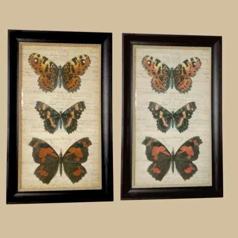 Постер Три бабочки